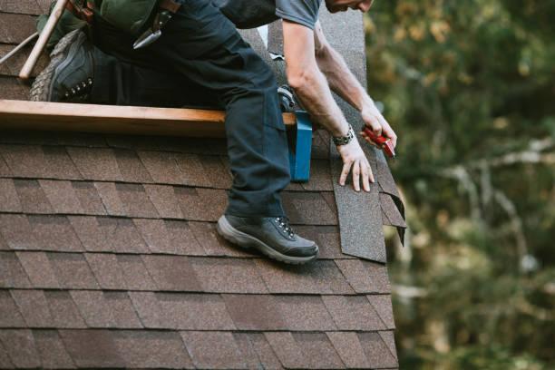 Best Roof Restoration Services  in Lake In The Hls, IL
