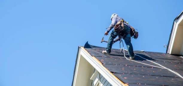 Sealant for Roof in Lake In The Hills, IL